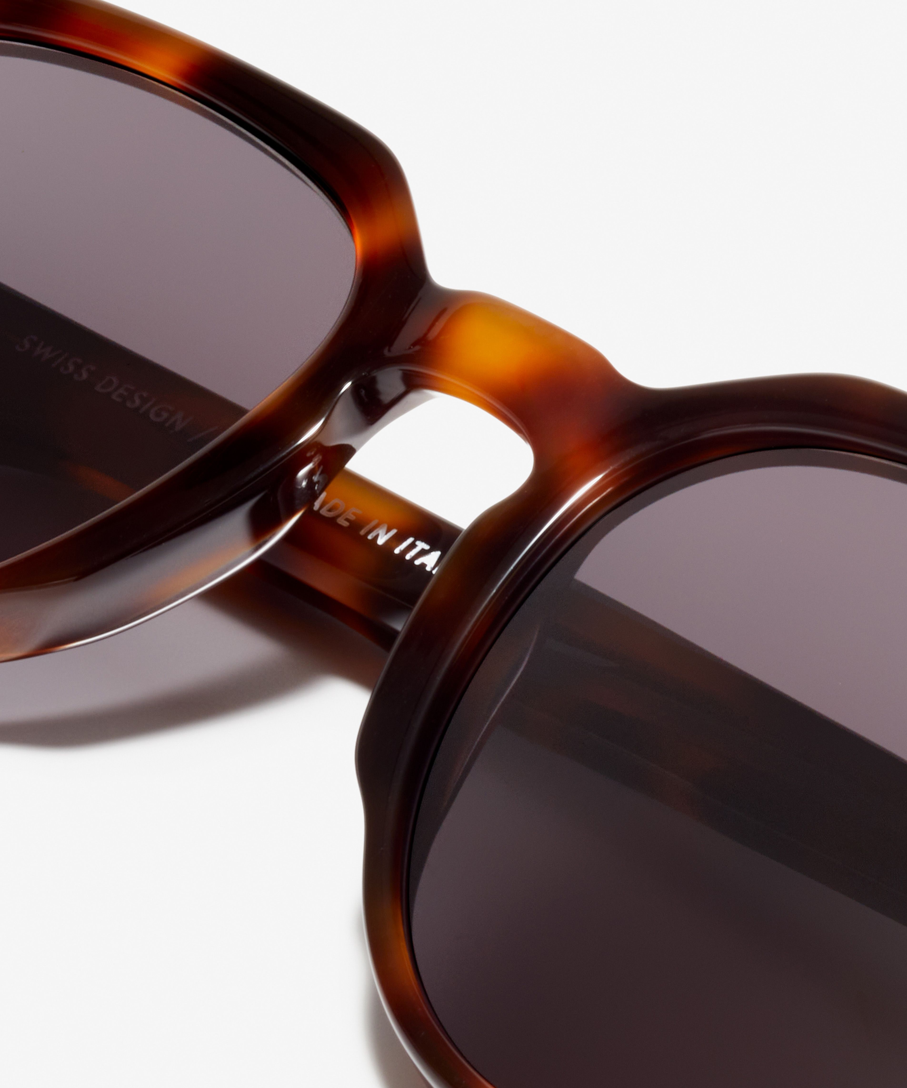 Image Détail de la paire de lunettes de soleil The Eccentric en couleur Cherrywood et taille Large
