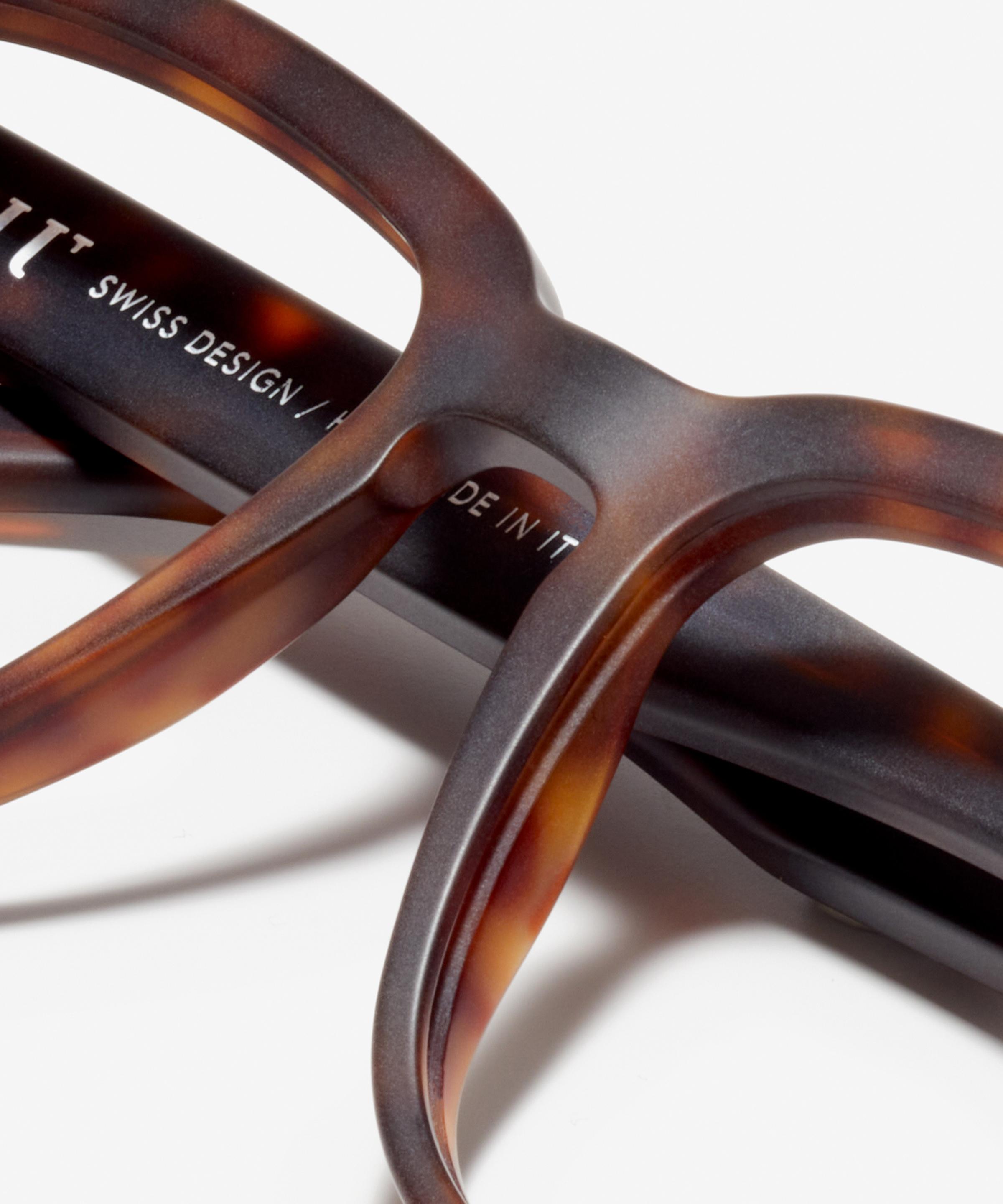 Detail image of the frame The Handsome in colour Tortoise and size Wide