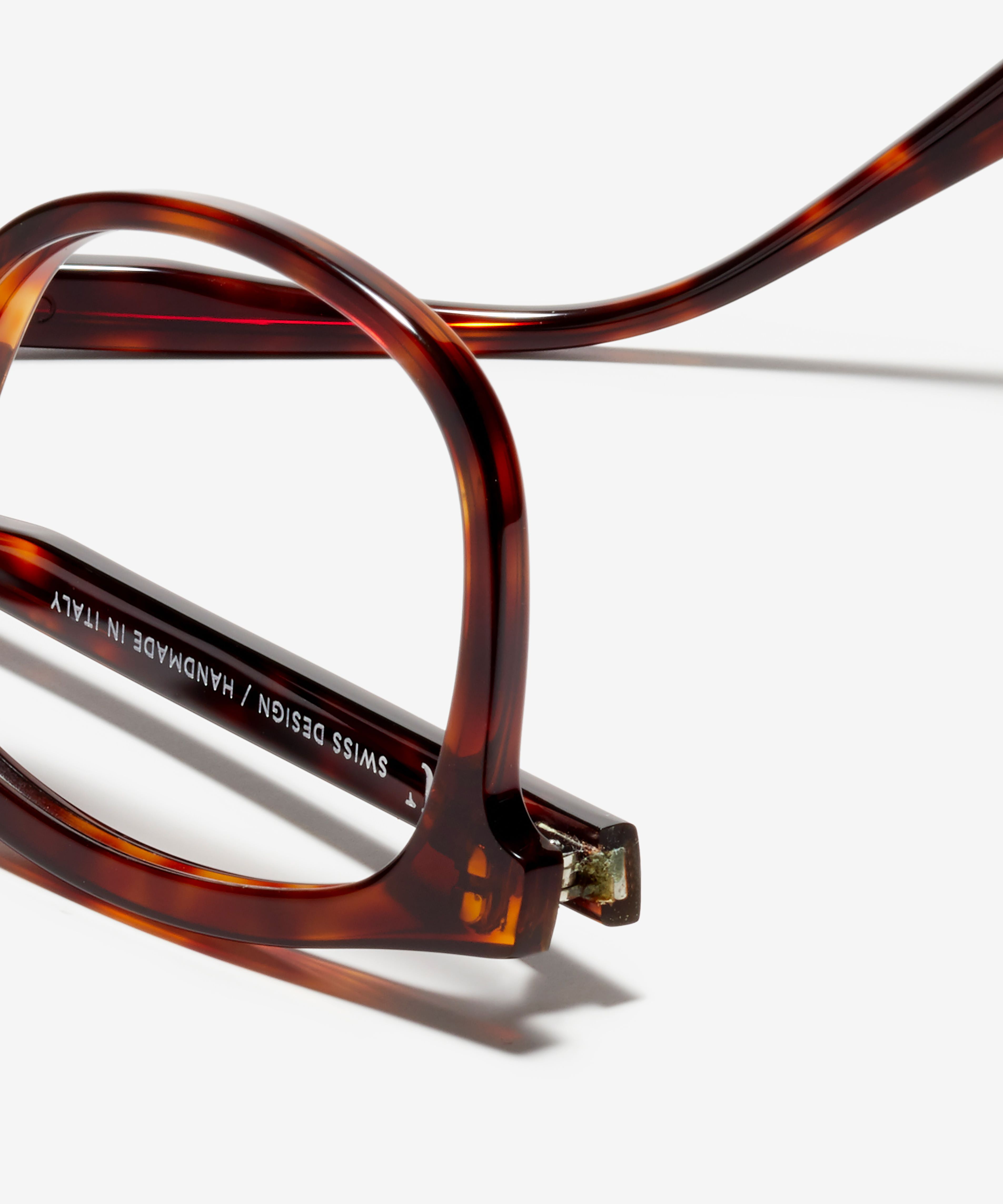 Detail image of the frame The Distinct in colour Tortoise and size Wide