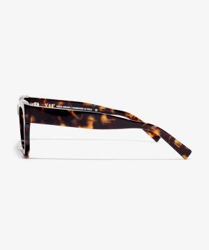 Side image of the frame The Catch in colour Amber Tortoise and size Wide