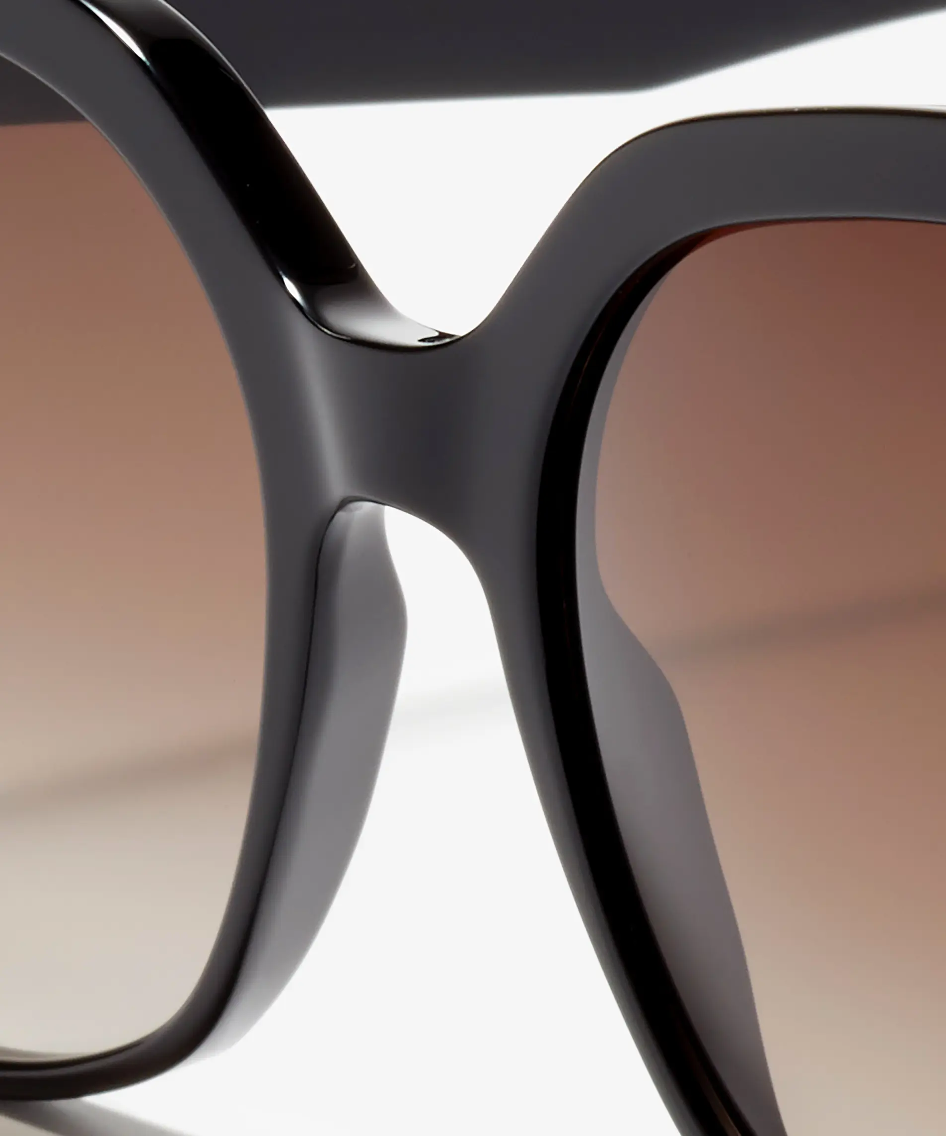 Detail image of the sunglasses The Royal in colour Black and size Wide
