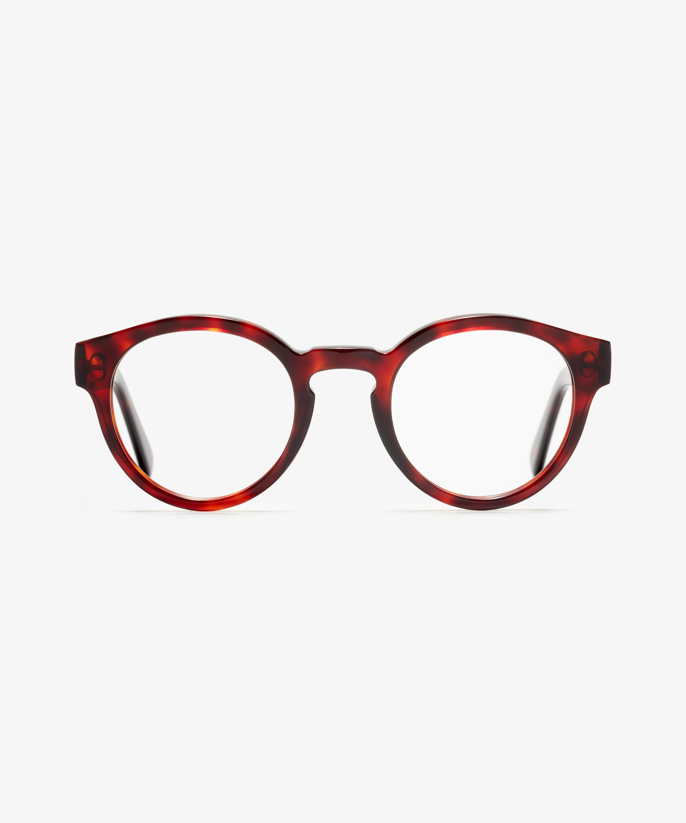 Front-Bild der Brille The Definite in Farbe Red Havana und Grösse Mittel