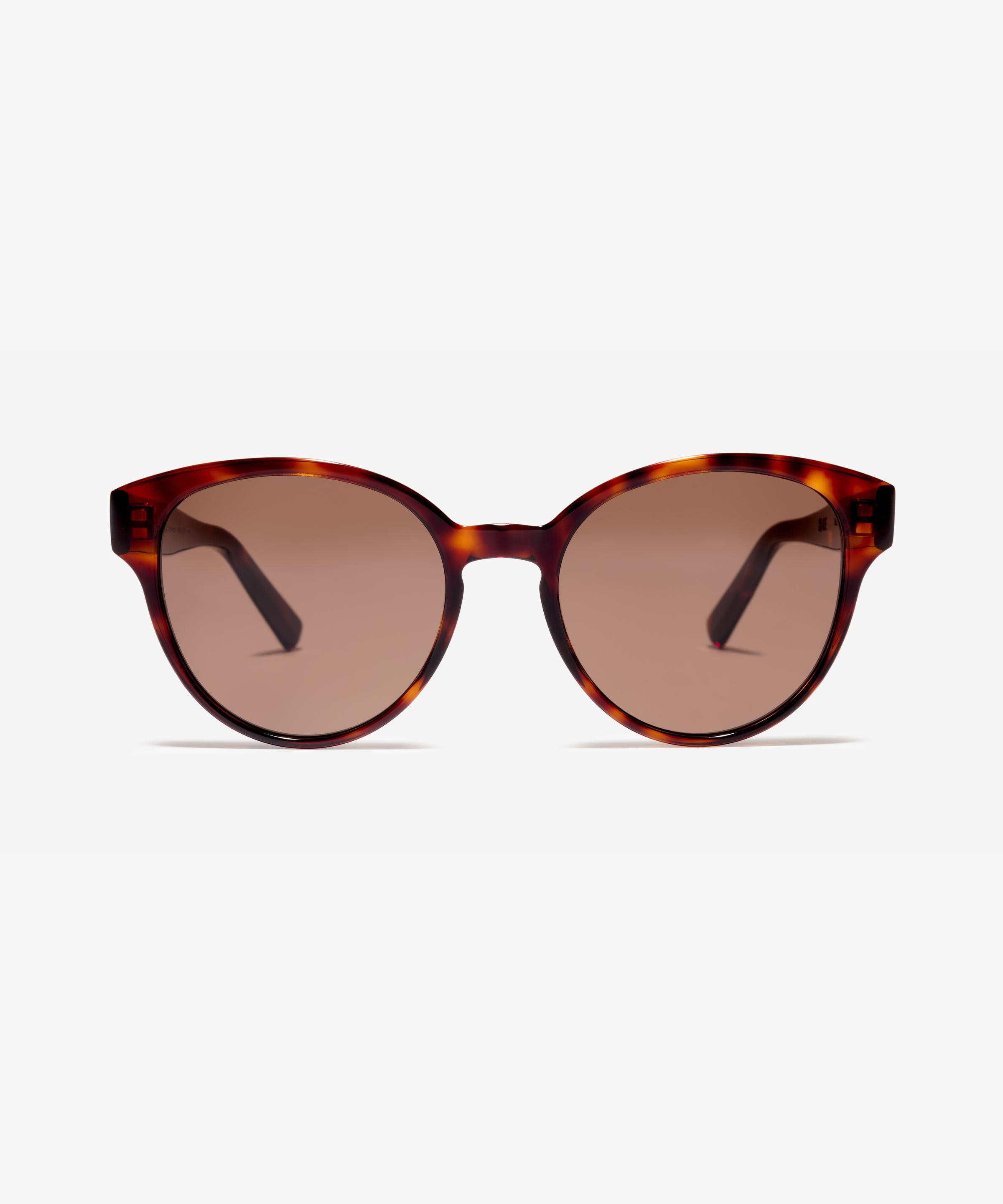Front-Bild der Sonnenbrille The Dazzling in Farbe Tortoise und Grösse Mittel