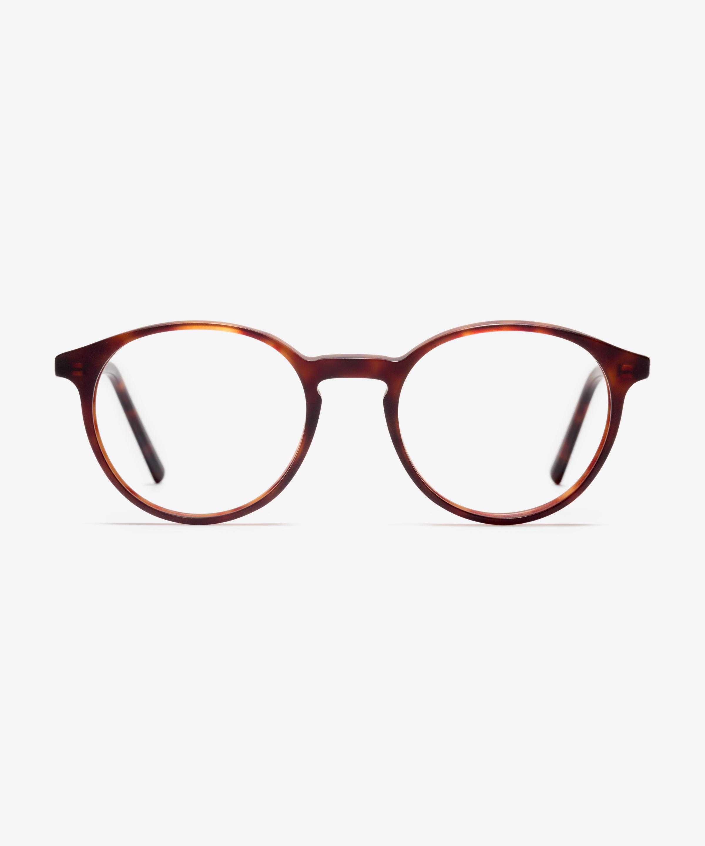 Image Face de la monture The Dapper en couleur Tortoise et taille Large