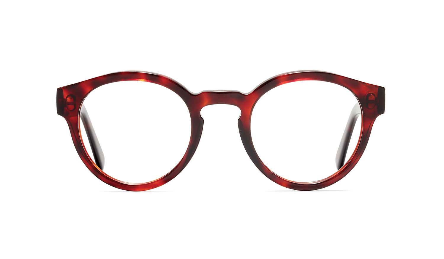 Front image of the frame The Definite in colour Red Havana and size Medium