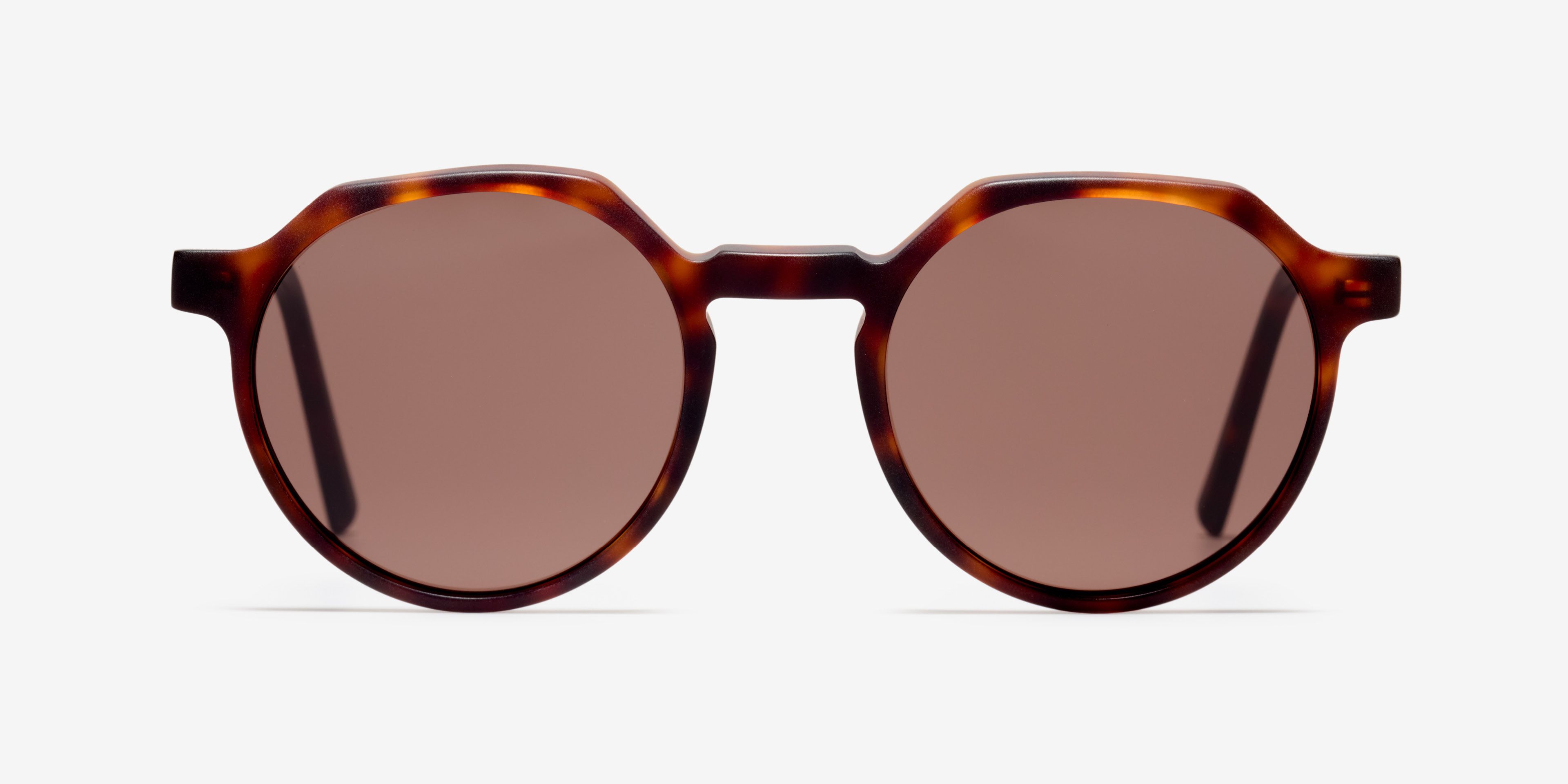 Front image of the sunglasses The Cultivated in colour Tortoise and size Medium