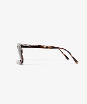 Front image of the sunglasses The Caring in colour Berry Havana and size Medium