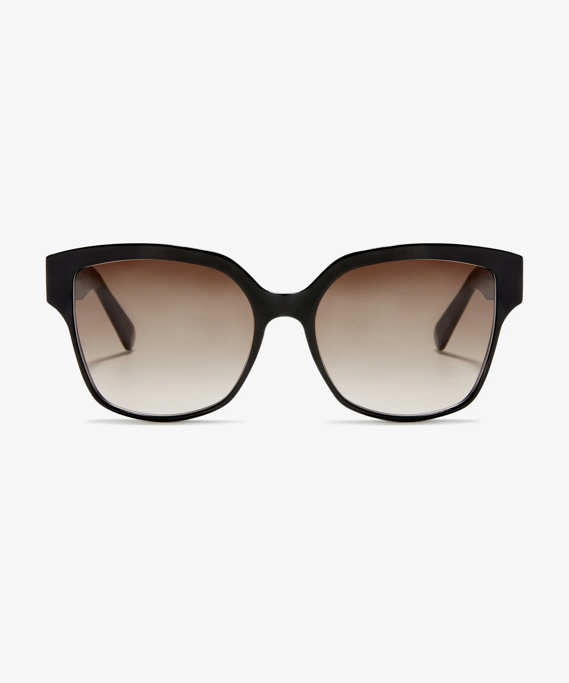 Front image of the sunglasses The Royal in colour Black and size Wide
