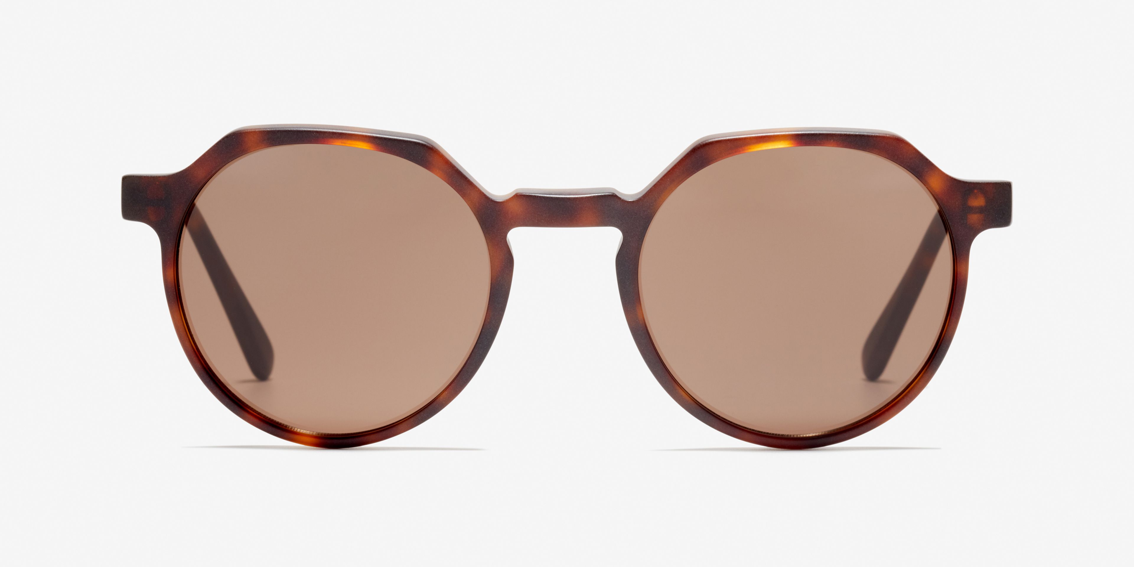 Front-Bild der Sonnenbrille The Cultivated in Farbe Tortoise und Größe Mittel