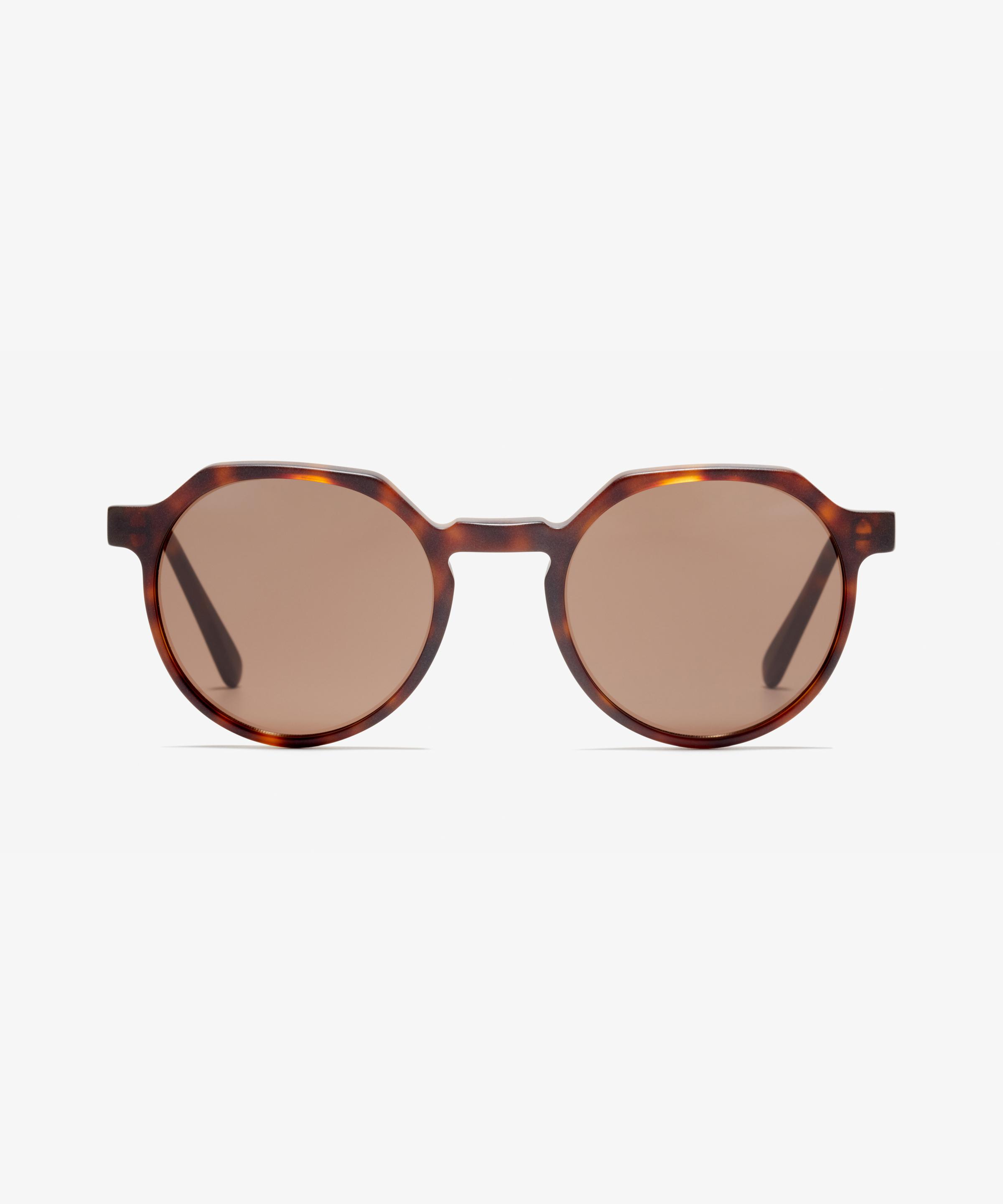 Front-Bild der Sonnenbrille The Cultivated in Farbe Tortoise und Größe Mittel