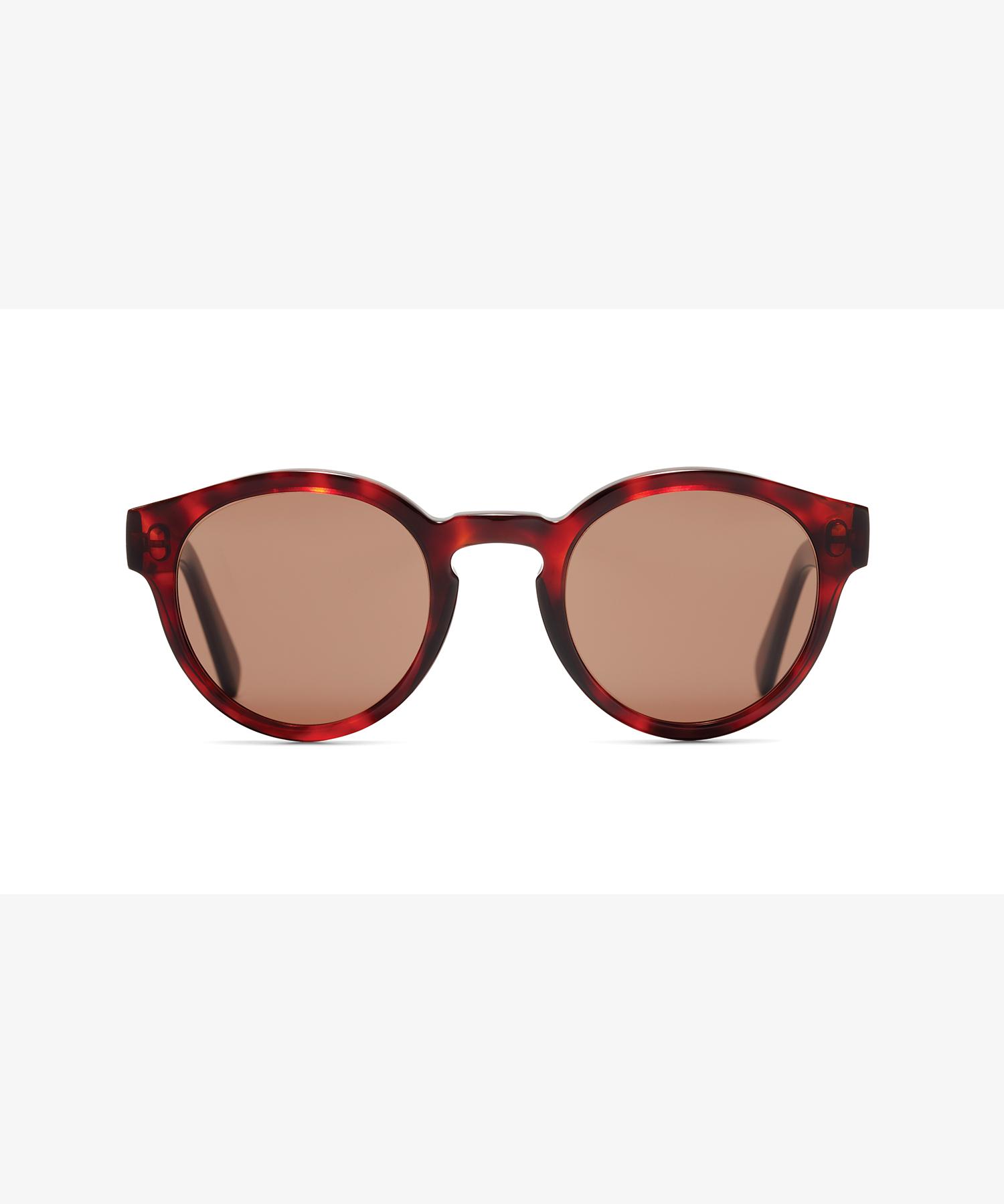 Front image of the sunglasses The Definite in colour Red Havana and size Medium