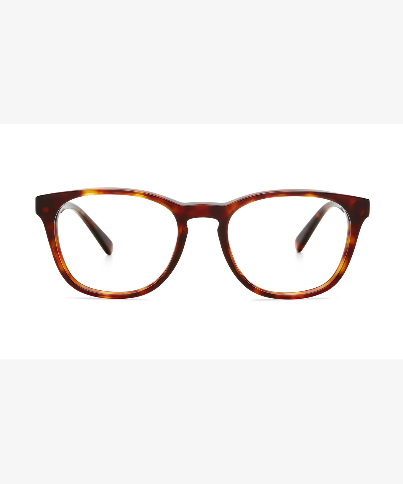 Front image of the frame The Obvious in colour Tortoise and size Medium