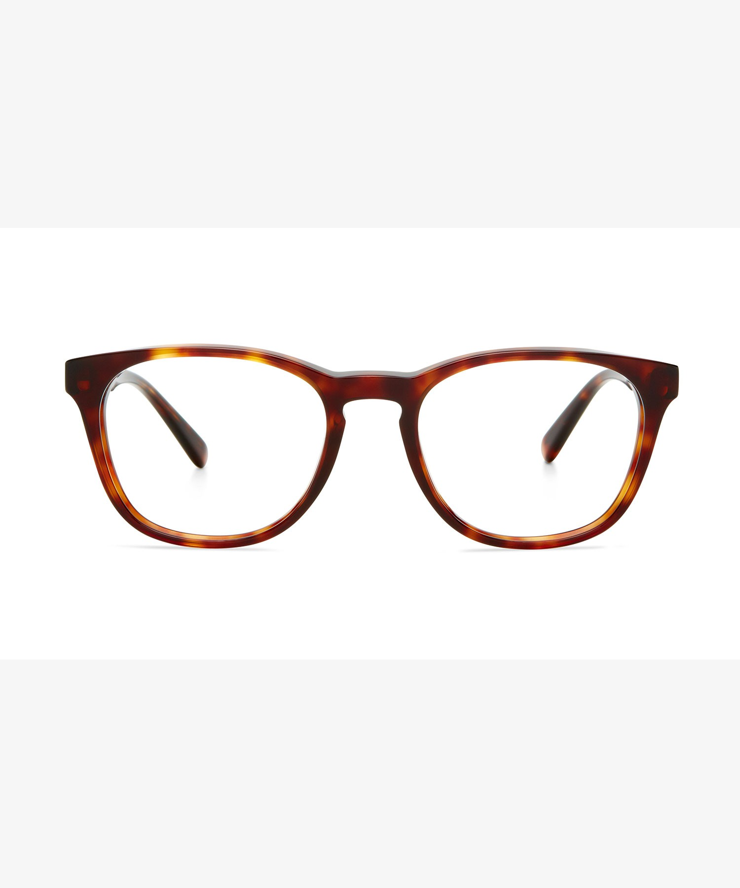 Front image of the frame The Obvious in colour Tortoise and size Medium