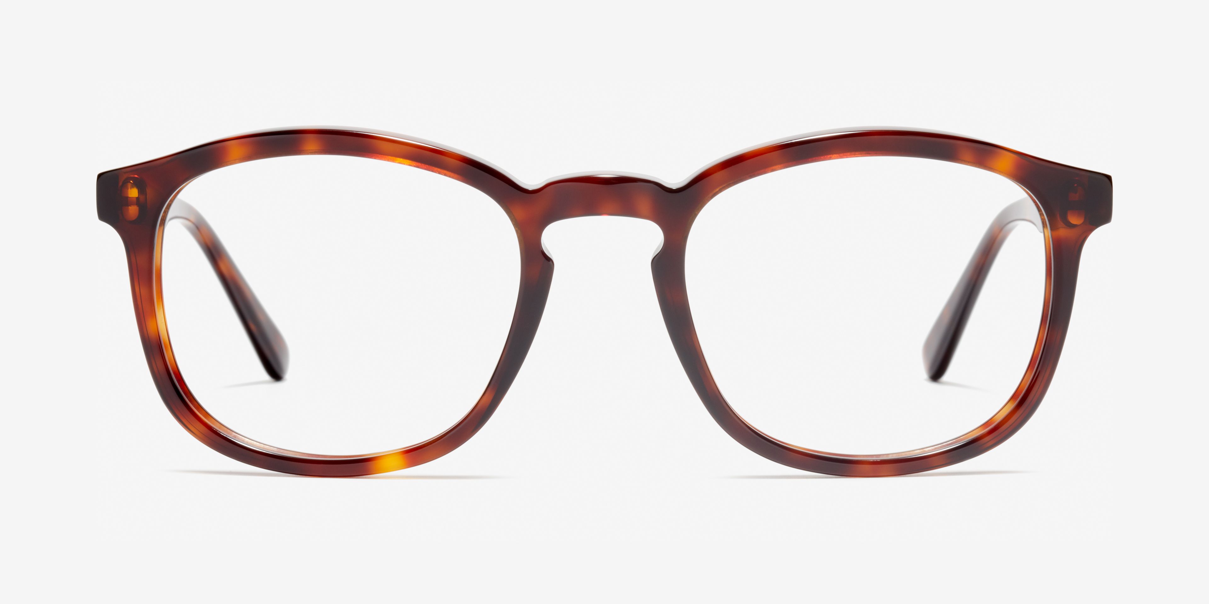 Front image of the frame The Distinct in colour Tortoise and size Wide