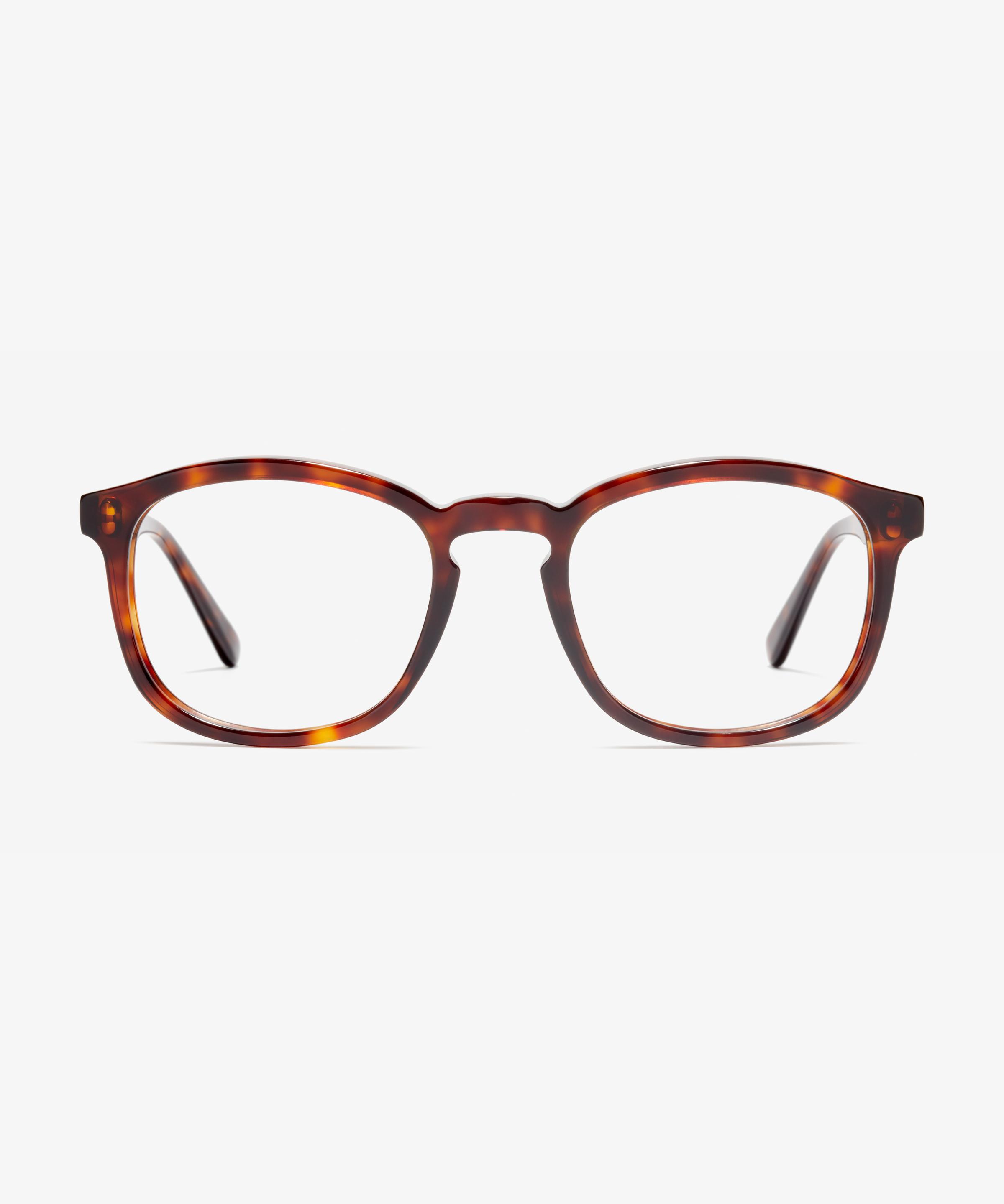 Front image of the frame The Distinct in colour Tortoise and size Wide