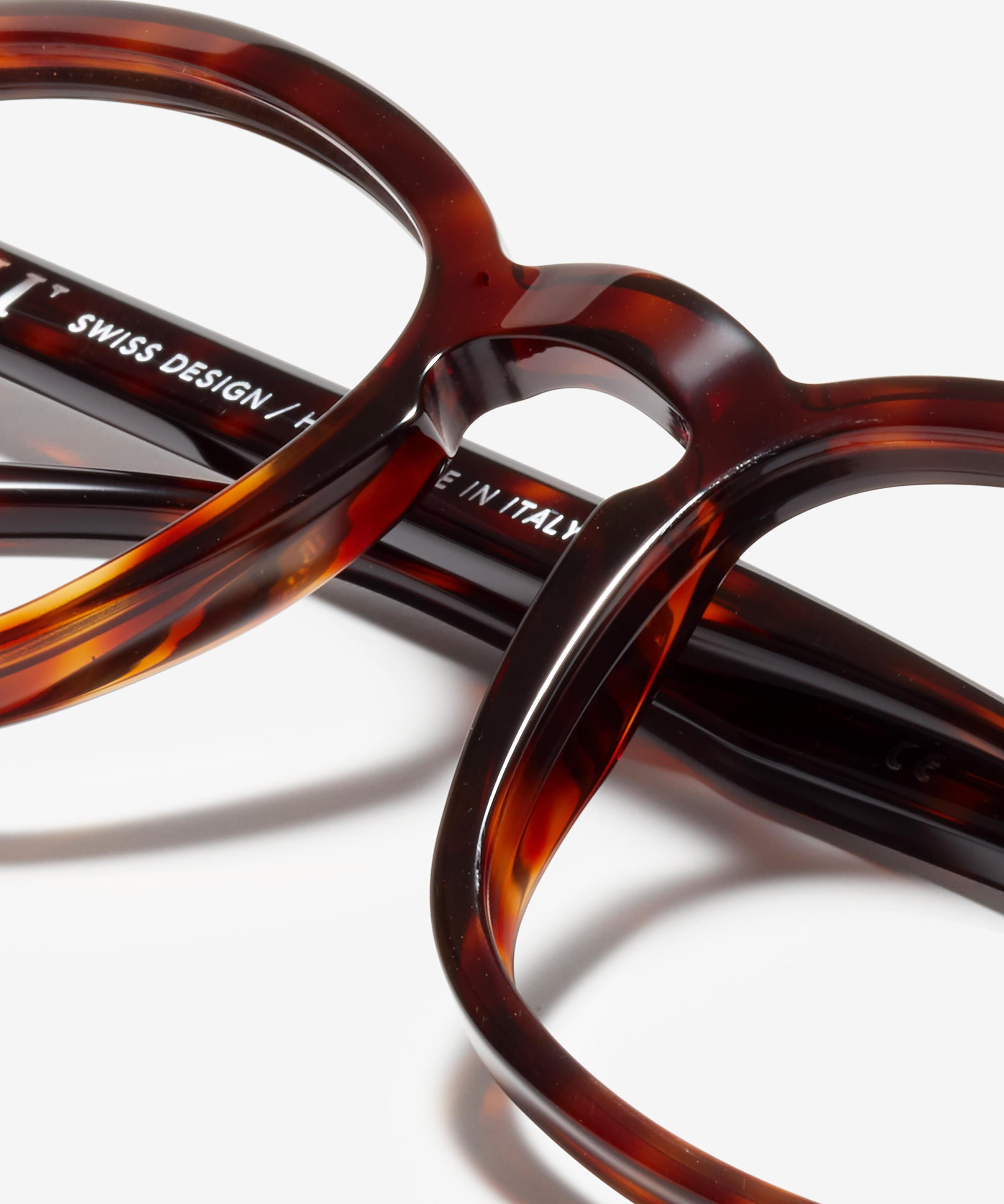 Detail image of the frame The Distinct in colour Tortoise and size Wide