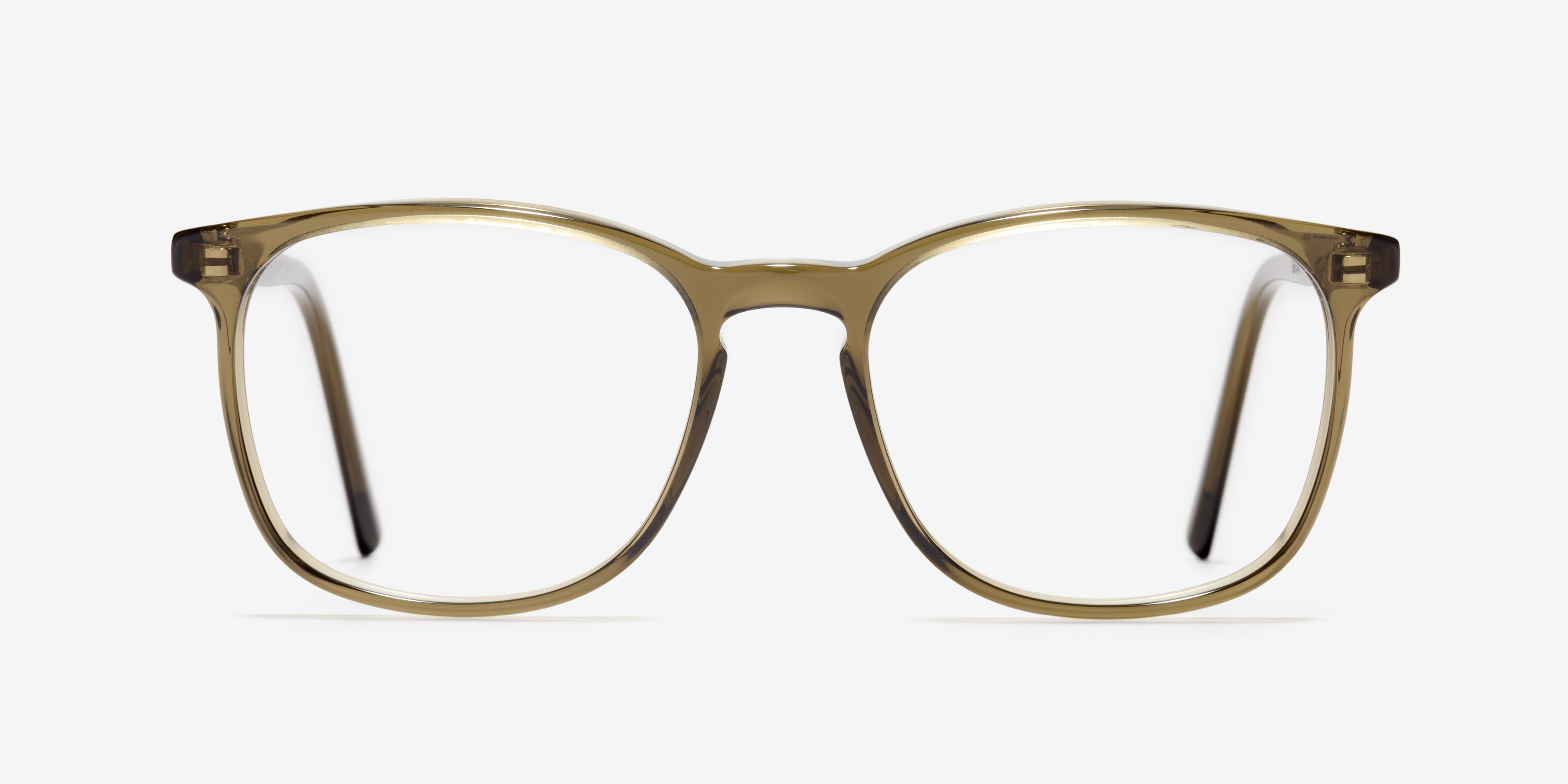 Front-Bild der Brille The Polite in Farbe Khaki und Größe Mittel