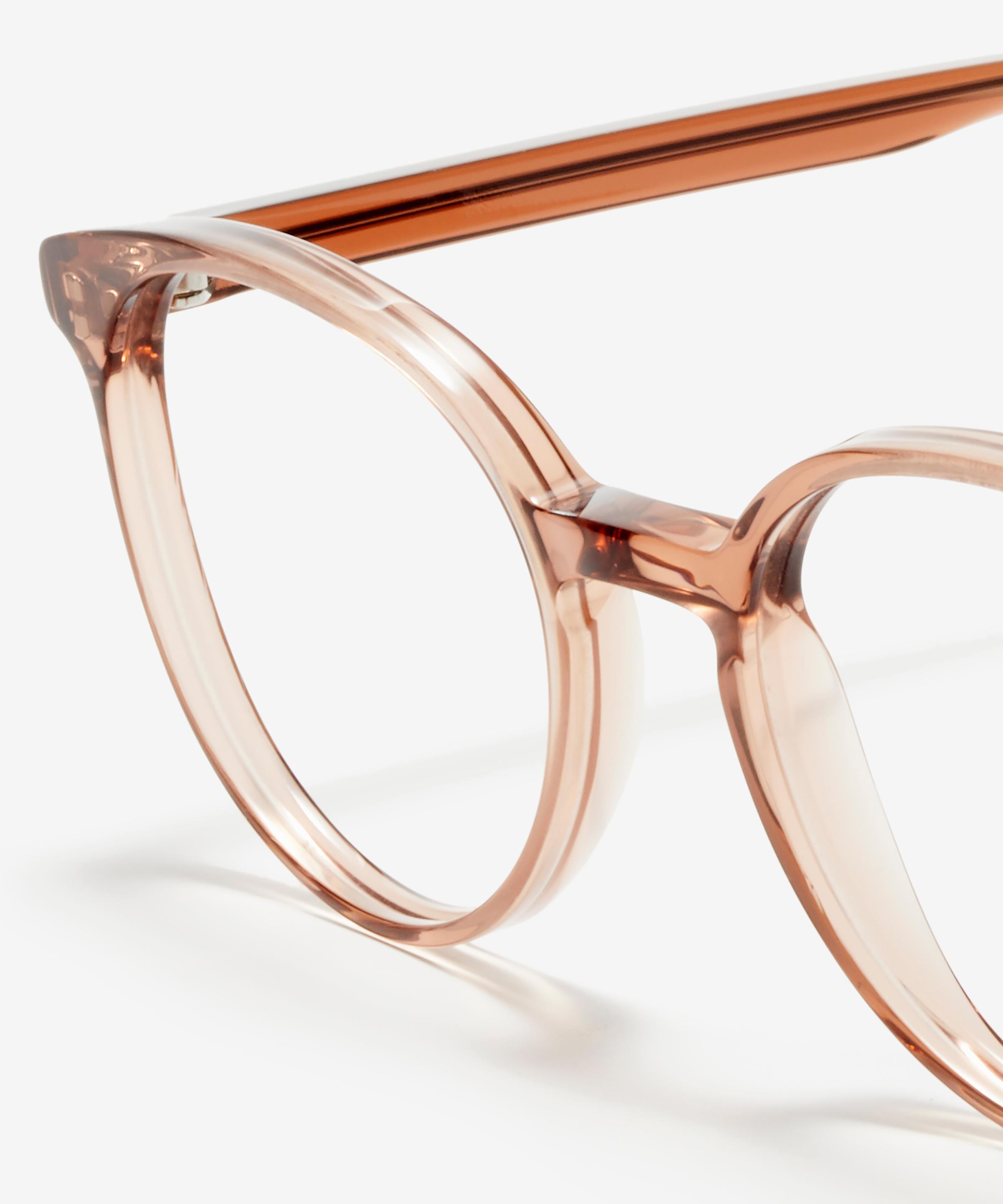 Detail-Bild der Brille The Academic in Farbe Rose Tan und Größe Schmal