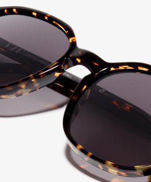 Detail image of the sunglasses The Educated in colour Ember and size Medium